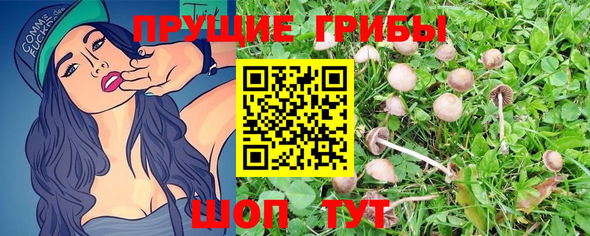 Псилоцибиновые грибы MAGIC MUSHROOMS Узловая