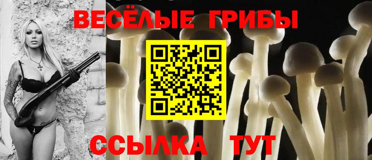 Узловая  Галлюциногенные грибы мицелий  магазин продажи   Вход с VPN  Галлюциногенные грибы Psilocybine cubensis 